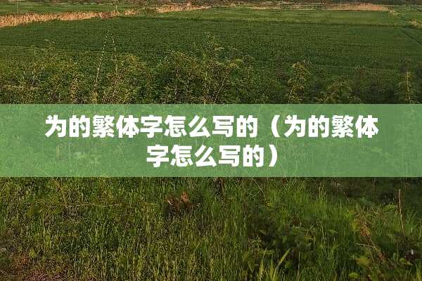 为的繁体字怎么写的（为的繁体字怎么写的）