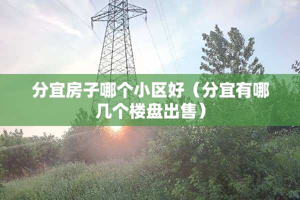 分宜房子哪个小区好（分宜有哪几个楼盘出售）