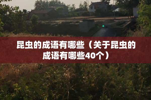 昆虫的成语有哪些（关于昆虫的成语有哪些40个）