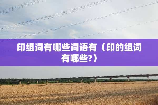 印组词有哪些词语有（印的组词有哪些?）