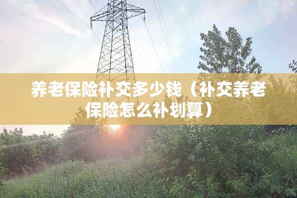 养老保险补交多少钱（补交养老保险怎么补划算）