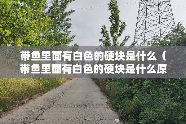 带鱼里面有白色的硬块是什么（带鱼里面有白色的硬块是什么原因）