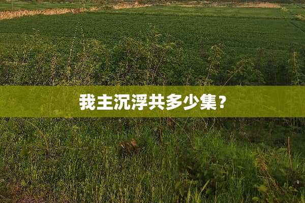 我主沉浮共多少集？