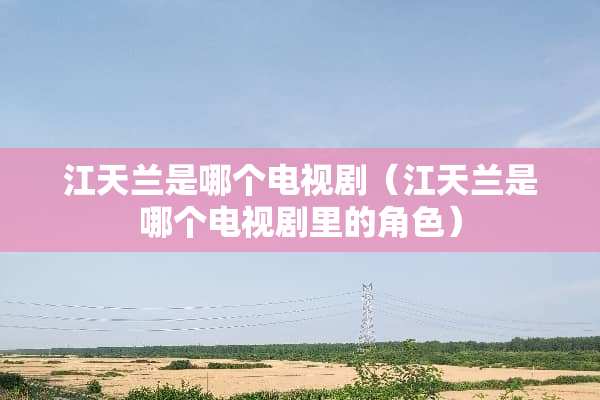江天兰是哪个电视剧（江天兰是哪个电视剧里的角色）