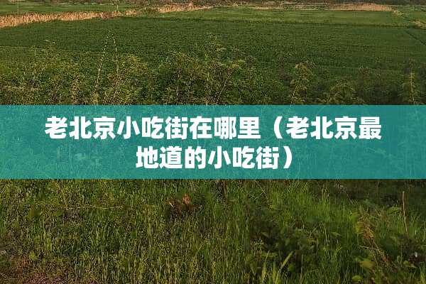 老北京小吃街在哪里（老北京最地道的小吃街）