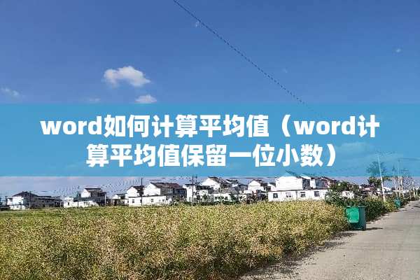 word如何计算平均值（word计算平均值保留一位小数）