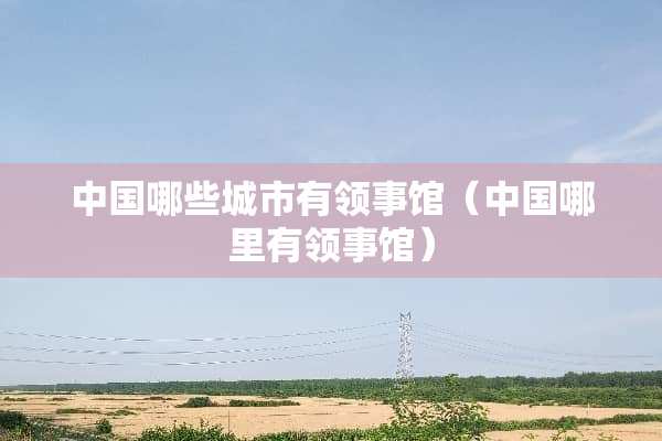 中国哪些城市有领事馆（中国哪里有领事馆）