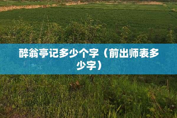 醉翁亭记多少个字（前出师表多少字）