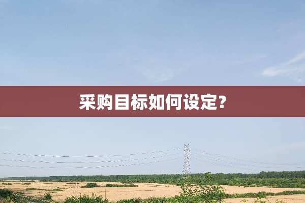 采购目标如何设定？