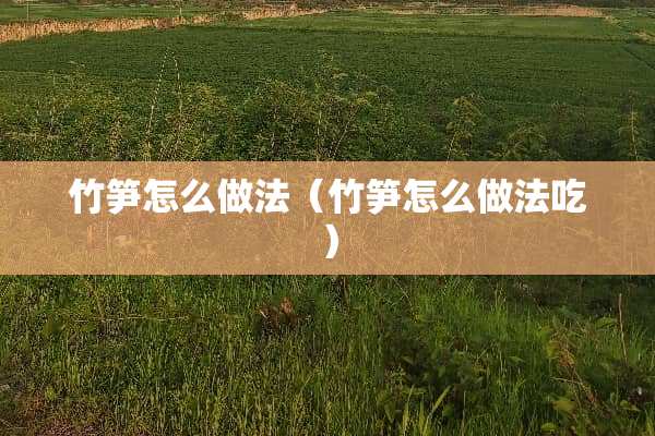 竹笋怎么做法（竹笋怎么做法吃）