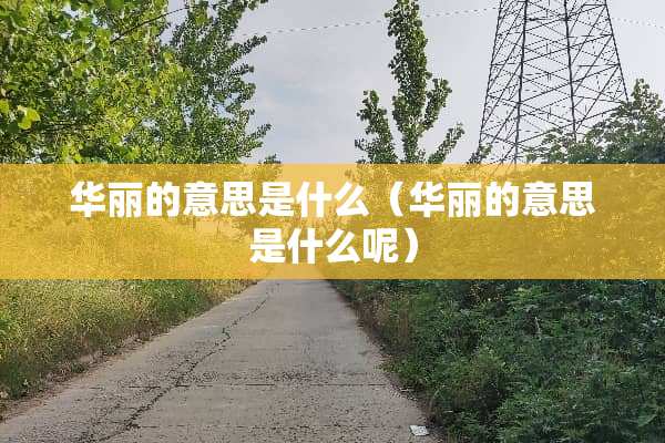 华丽的意思是什么（华丽的意思是什么呢）