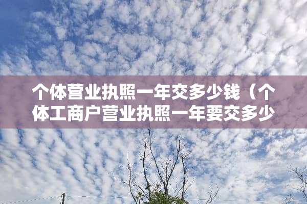 个体营业执照一年交多少钱（个体工商户营业执照一年要交多少钱）