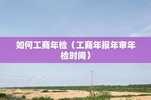 如何工商年检（工商年报年审年检时间）