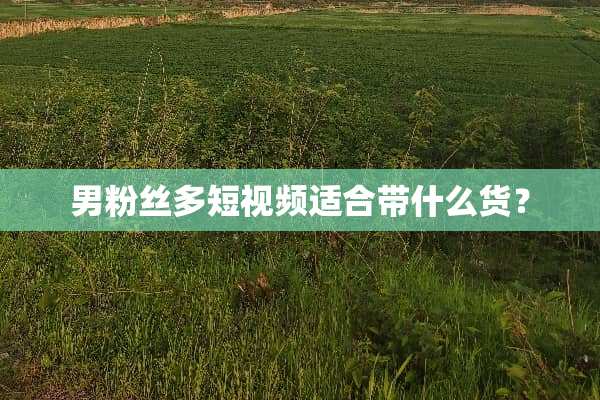 男粉丝多短视频适合带什么货？