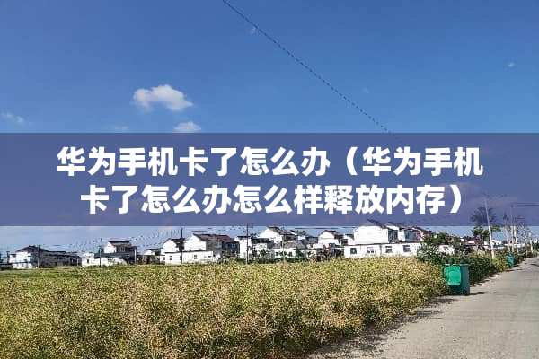 华为手机卡了怎么办（华为手机卡了怎么办怎么样释放内存）