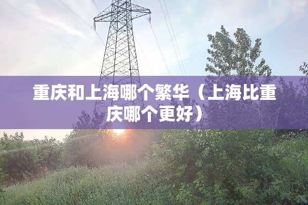 重庆和上海哪个繁华（上海比重庆哪个更好）