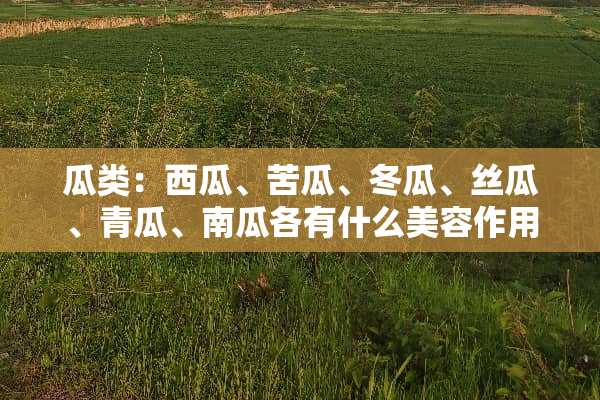 瓜类：西瓜、苦瓜、冬瓜、丝瓜、青瓜、南瓜各有什么美容作用？