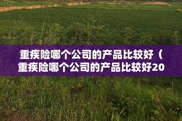 重疾险哪个公司的产品比较好（重疾险哪个公司的产品比较好2023）