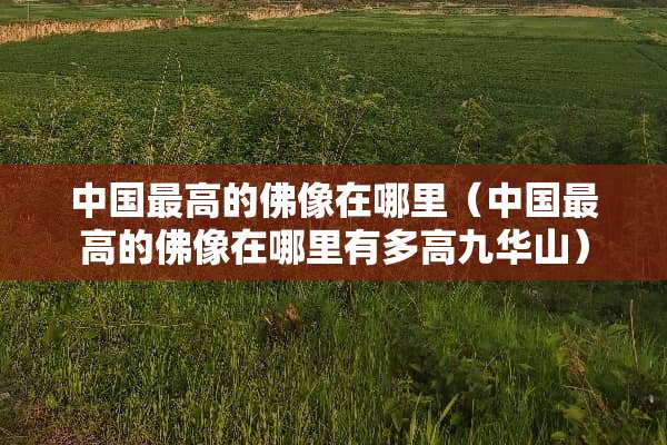 中国最高的佛像在哪里（中国最高的佛像在哪里有多高九华山）