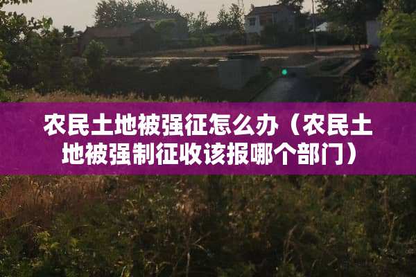 农民土地被强征怎么办（农民土地被强制征收该报哪个部门）