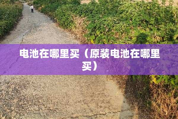 电池在哪里买（原装电池在哪里买）