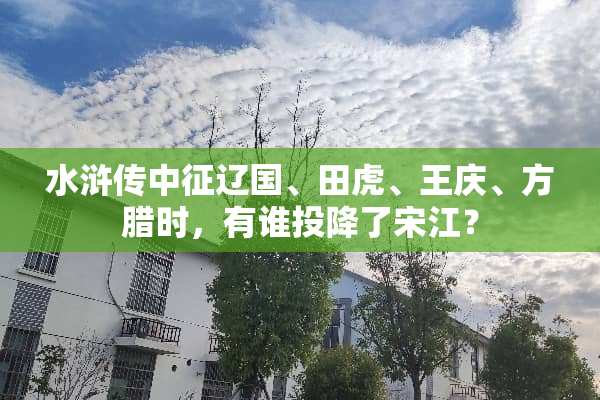 水浒传中征辽国、田虎、王庆、方腊时，有谁投降了宋江？
