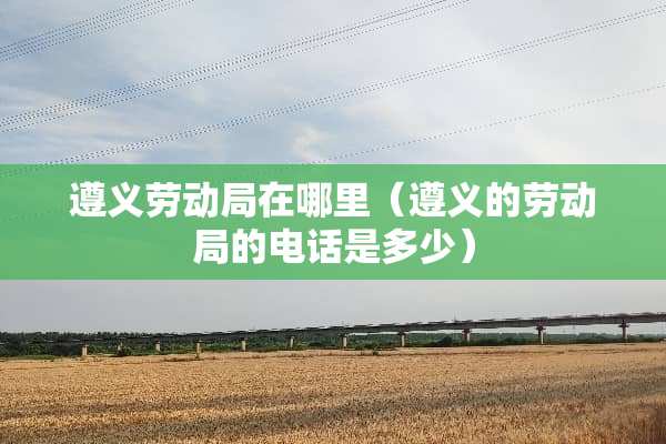遵义劳动局在哪里（遵义的劳动局的电话是多少）