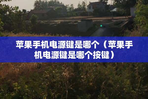 苹果手机电源键是哪个（苹果手机电源键是哪个按键）