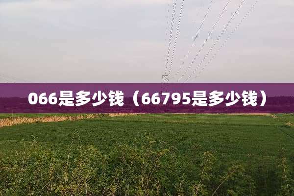 066是多少钱（66795是多少钱）