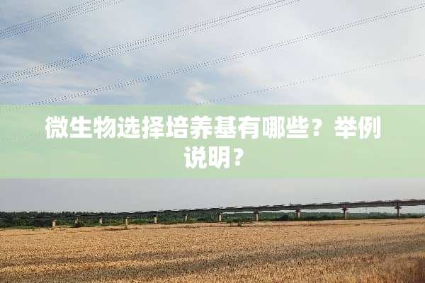 微生物选择培养基有哪些？举例说明？