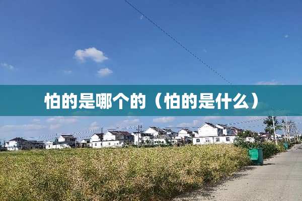 怕的是哪个的（怕的是什么）