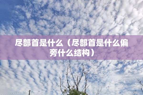 尽部首是什么（尽部首是什么偏旁什么结构）