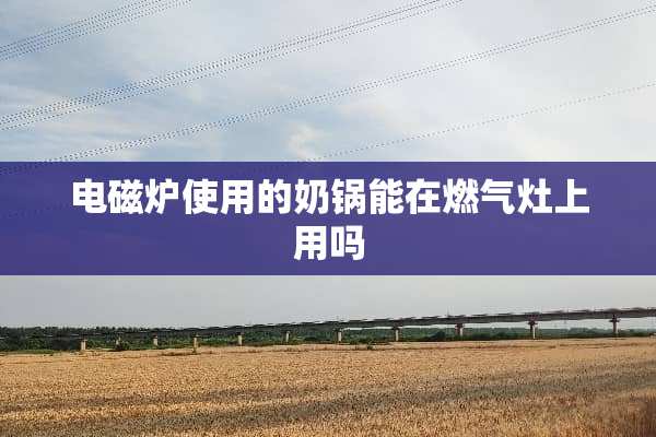 电磁炉使用的奶锅能在燃气灶上用吗