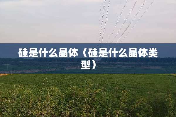 硅是什么晶体（硅是什么晶体类型）