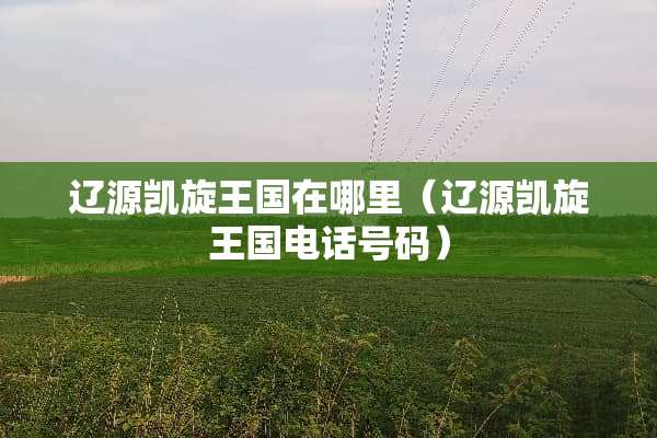 辽源凯旋王国在哪里（辽源凯旋王国电话号码）