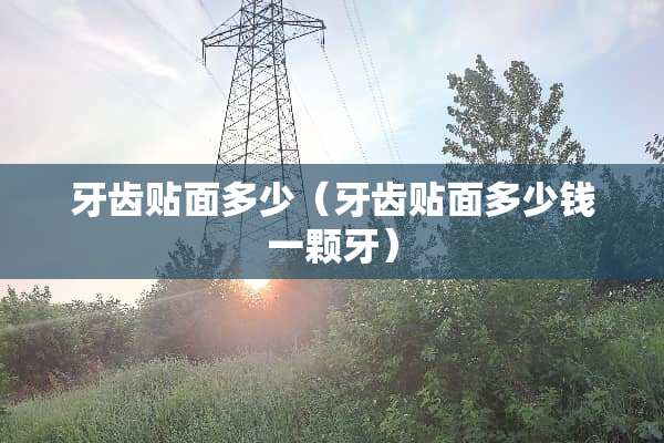 牙齿贴面多少（牙齿贴面多少钱一颗牙）