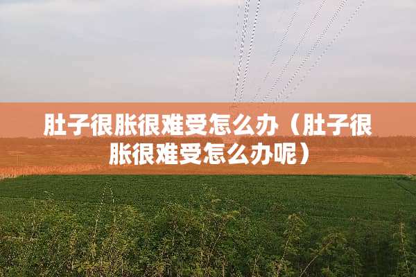 肚子很胀很难受怎么办（肚子很胀很难受怎么办呢）