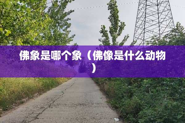 佛象是哪个象（佛像是什么动物）