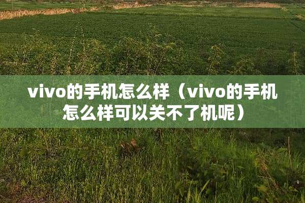 vivo的手机怎么样（vivo的手机怎么样可以关不了机呢）