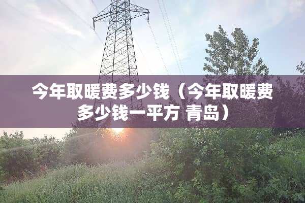 今年取暖费多少钱（今年取暖费多少钱一平方 青岛）