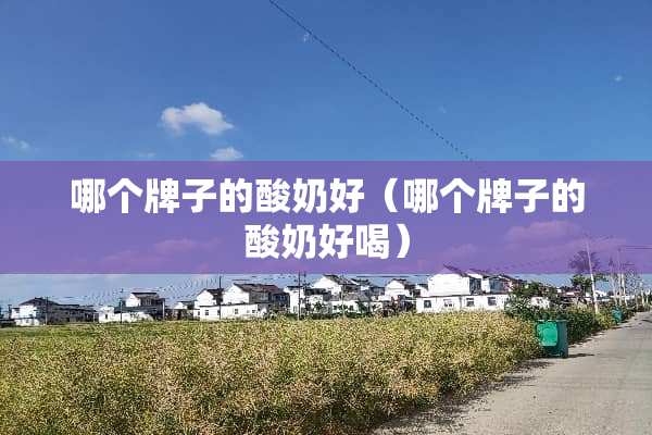 哪个牌子的酸奶好（哪个牌子的酸奶好喝）