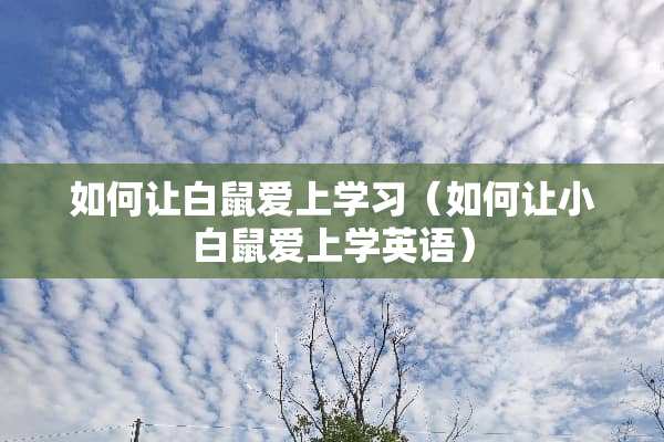 如何让白鼠爱上学习（如何让小白鼠爱上学英语）
