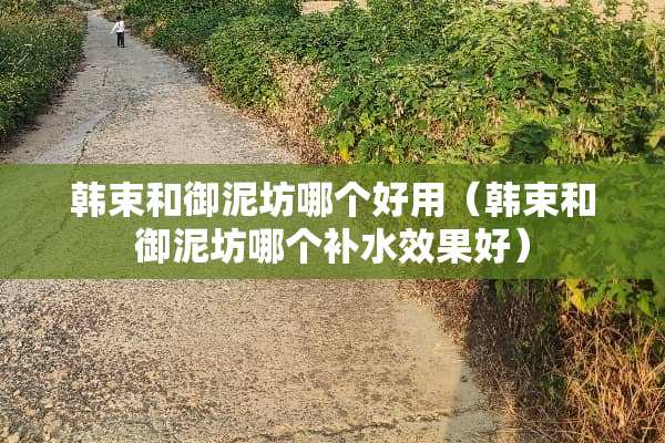 韩束和御泥坊哪个好用（韩束和御泥坊哪个补水效果好）