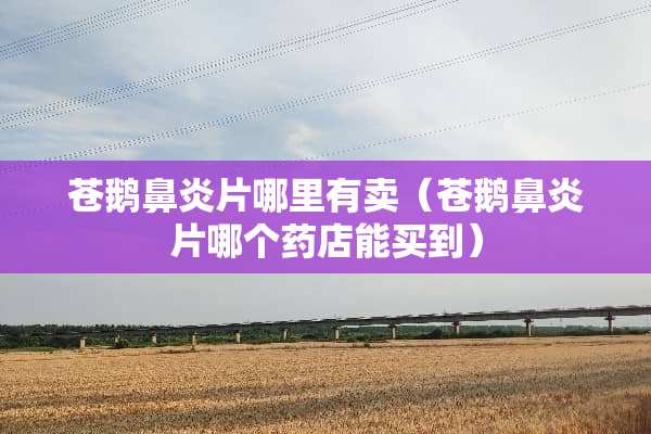 苍鹅鼻炎片哪里有卖（苍鹅鼻炎片哪个药店能买到）