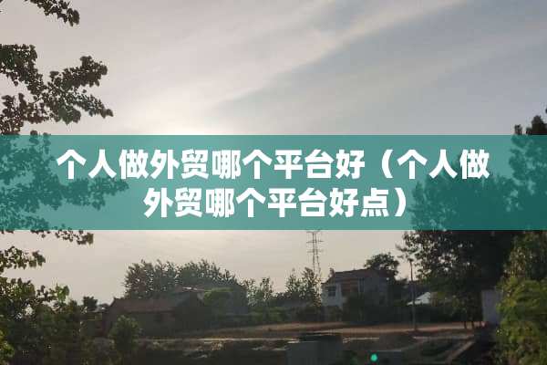 个人做外贸哪个平台好（个人做外贸哪个平台好点）