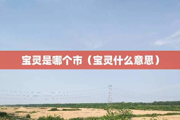 宝灵是哪个市（宝灵什么意思）