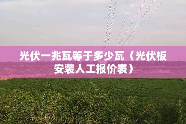 光伏一兆瓦等于多少瓦（光伏板安装人工报价表）