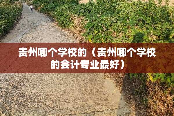 贵州哪个学校的（贵州哪个学校的会计专业最好）