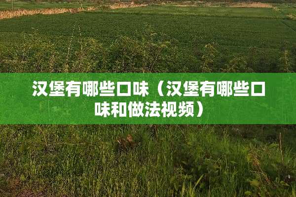 汉堡有哪些口味（汉堡有哪些口味和做法视频）