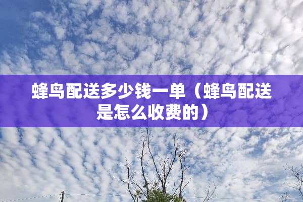 蜂鸟配送多少钱一单（蜂鸟配送是怎么收费的）
